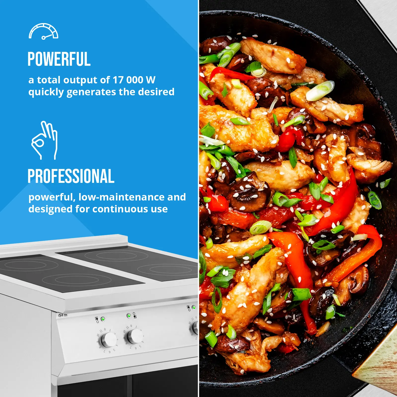 Plaque induction - 17 000 W - 4 x 30 cm - 260 °C - Royal Catering (Cordon(s) d'alimentation: 1.5 m)