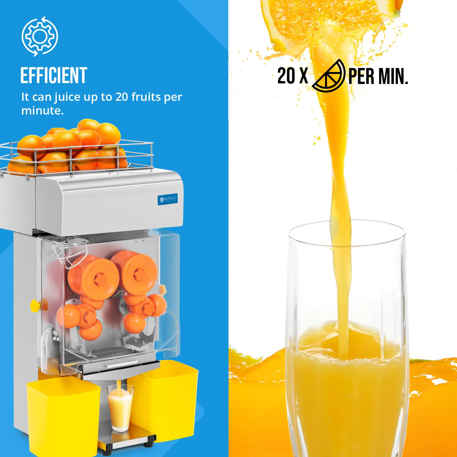 Orange Juicer - electric - automatic - 200 W - 20 oranges/min - Royal Catering