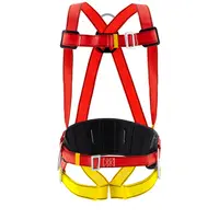 Safety Harness - 100 kg - 2 D-ring anchor points - EN361:2002 and EN358:1999