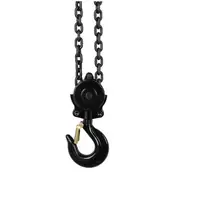 Chain Hoist - 3000 kg - 10 m