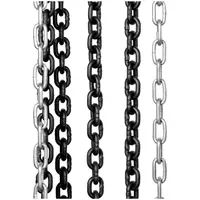 Chain Hoist - 2000 kg - 12 m