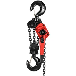 Chain Hoist - 500 kg - 1.5 m