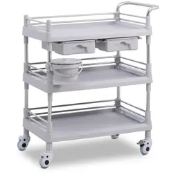 Laboratory Trolley - 3 shelves each 65 x 46 x 14 cm - 2 drawers - 60 kg