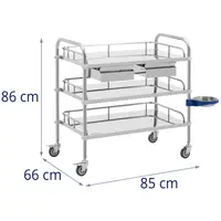 Laboratory Trolley - stainless steel - 3 shelves each 76 x 45 x 13 cm - 2 drawers - 45 kg
