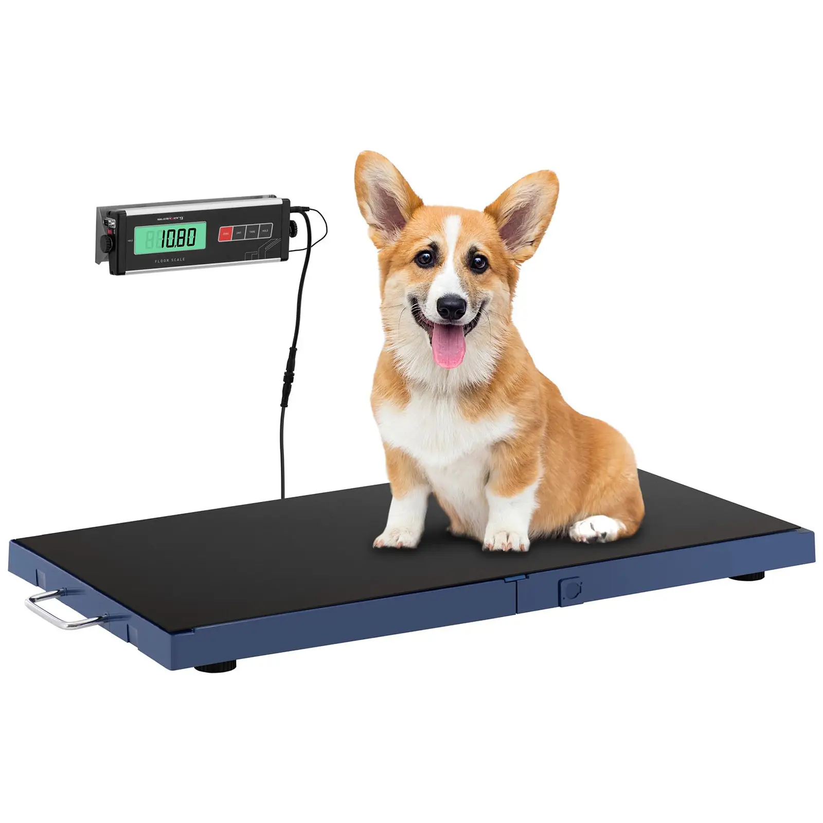 Balance vétérinaire - 180 kg / 50 g - Tapis antidérapant - Afficheur LCD - 4