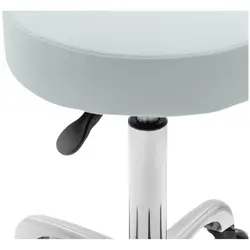 Stool Chair With Backrest - 540 - 720 mm - Pistachio