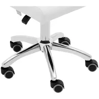 Roller Stool with Backrest - 48 - 62 cm - 150 kg - white