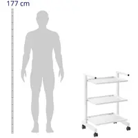 Beauty Trolley - 3 glass shelves - max. 60 kg - push handles