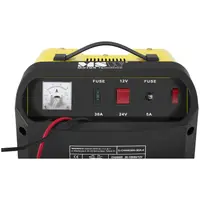 Carica batterie per auto professionale - 12/24 V - 15/20 A - pannello di controllo inclinato