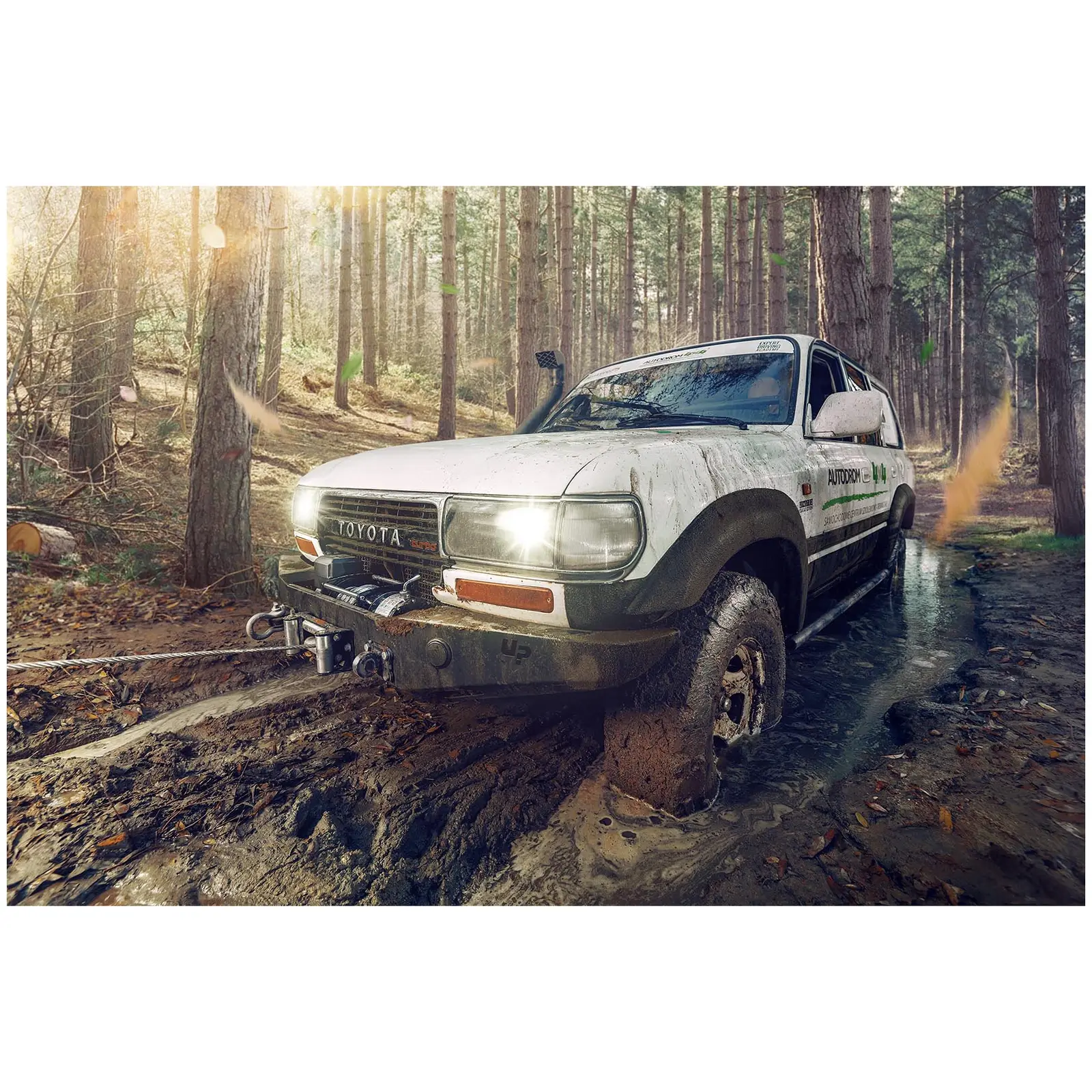 Troliu electric - 2,040 kg - 4,500 lbs (Diametrul cablului: 5.5 mm)