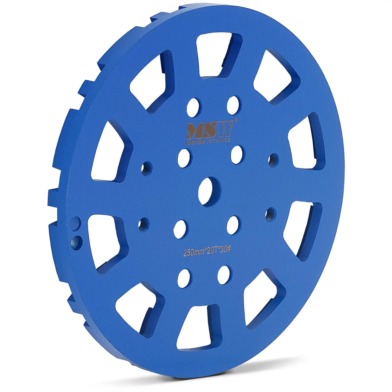 Diamantslibeskive - 250 mm i diameter - til beton - grovhed 30 - 20 slibesegmenter