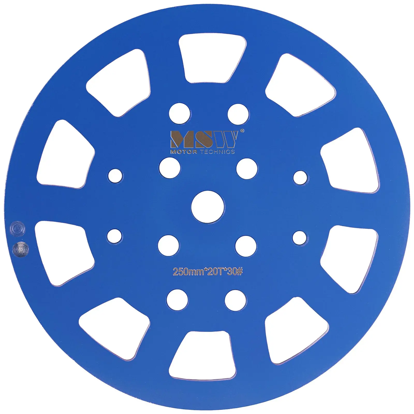 Concrete Grinding Disc - diameter: 250 mm - for concrete - grain size 30 - 20 grinding segments