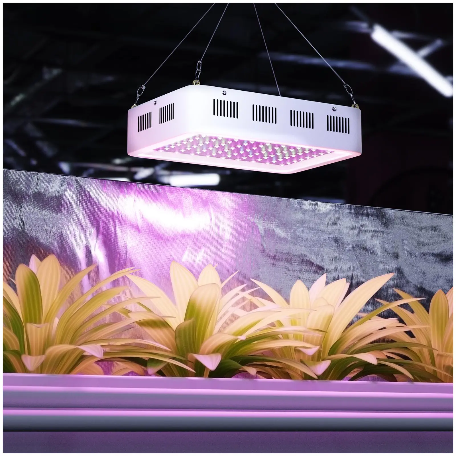 LED osvětlení pro pěstování rostlin - 1 000 W - 5 383 lumenů (Počet LED diod: 100)
