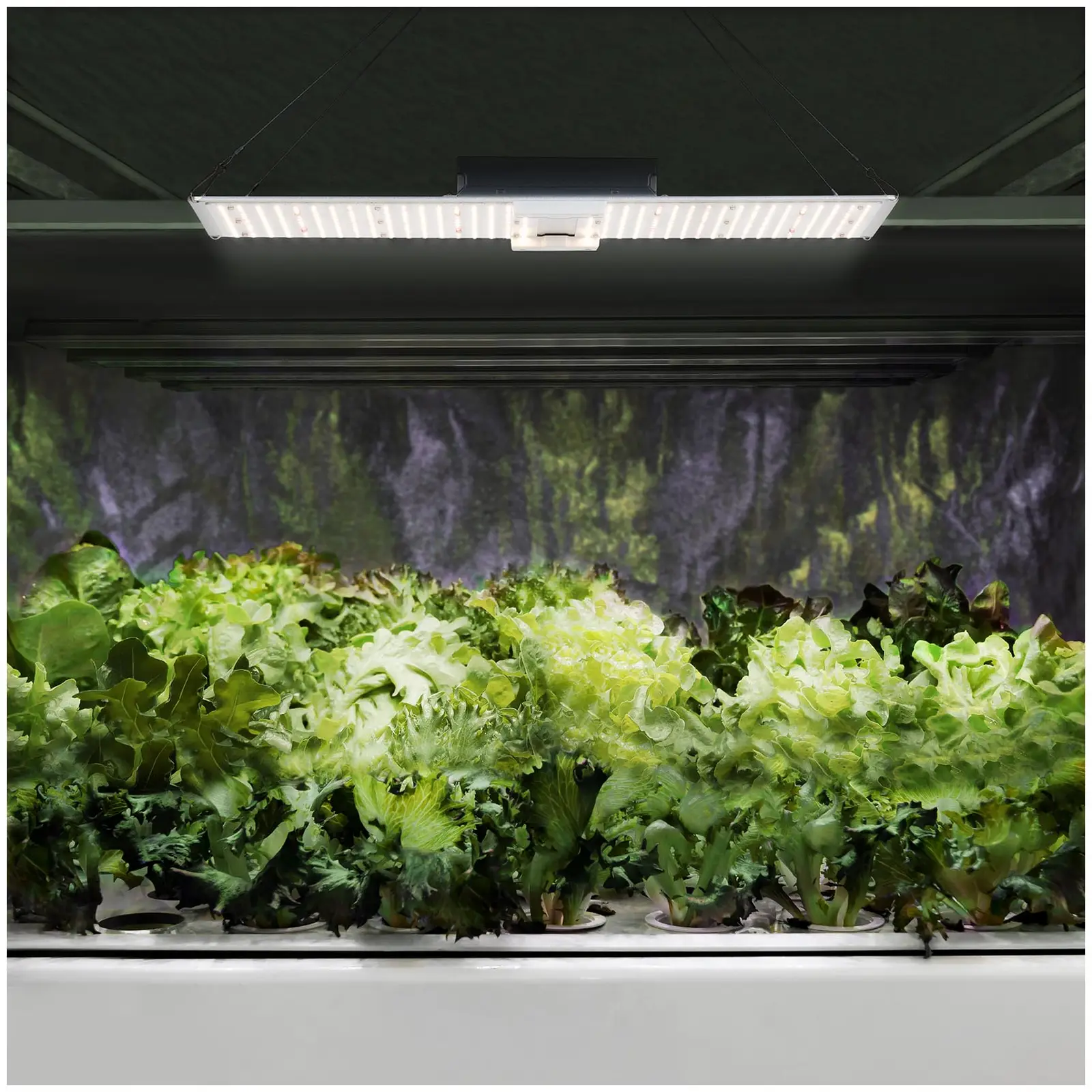 LED osvetlenie na pestovanie rastlín  - celé spektrum - 2 000 W - 468 LED - 20 000 lumenov