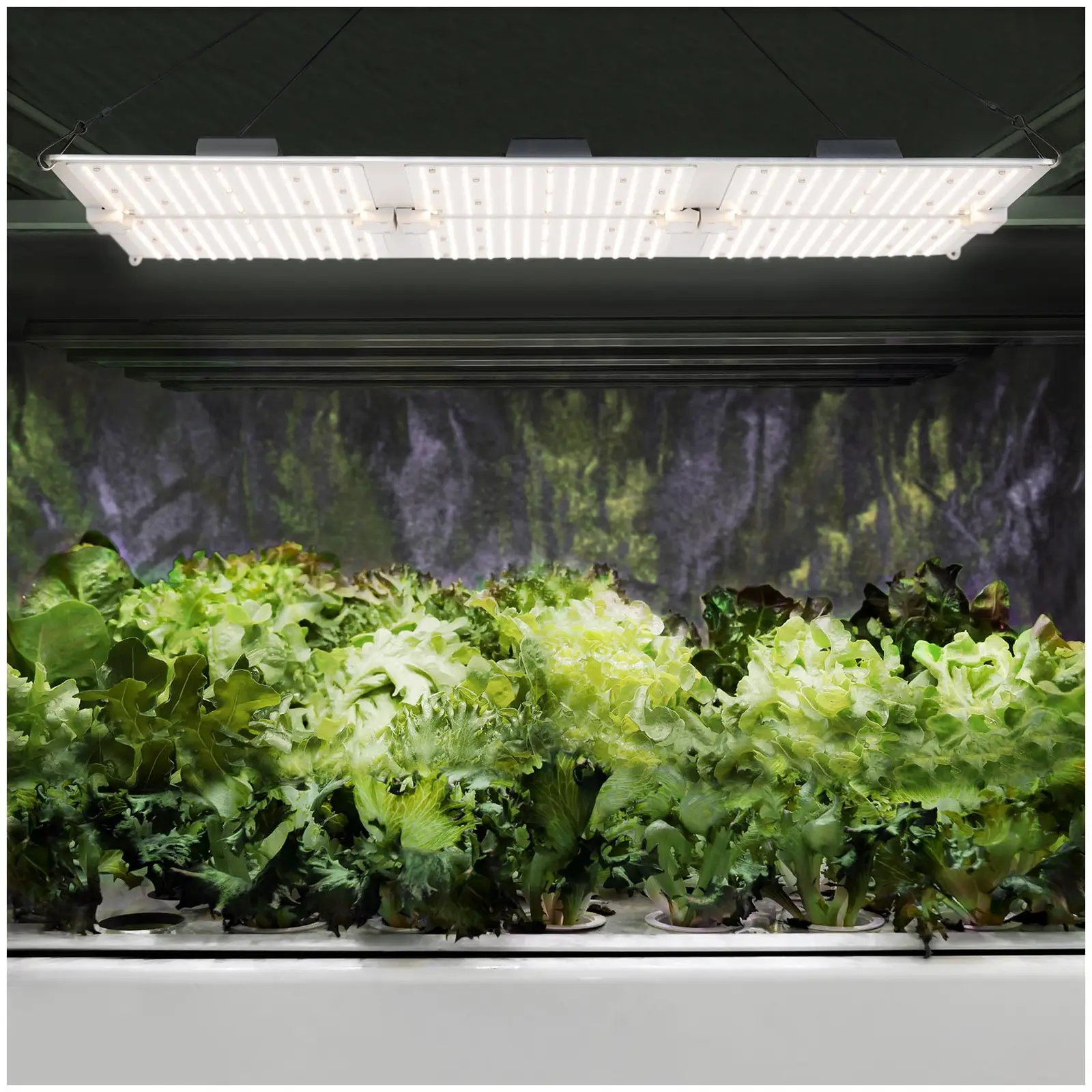 LED osvětlení pro pěstování rostlin - Plné spektrum - 600 W - 1 404 LED - 60 000 lm (Počet LED diod: 1404)