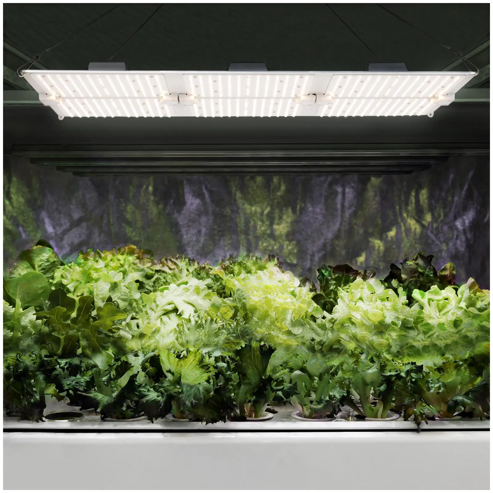 LED osvětlení pro pěstování rostlin - Plné spektrum - 600 W - 1 404 LED - 60 000 lm