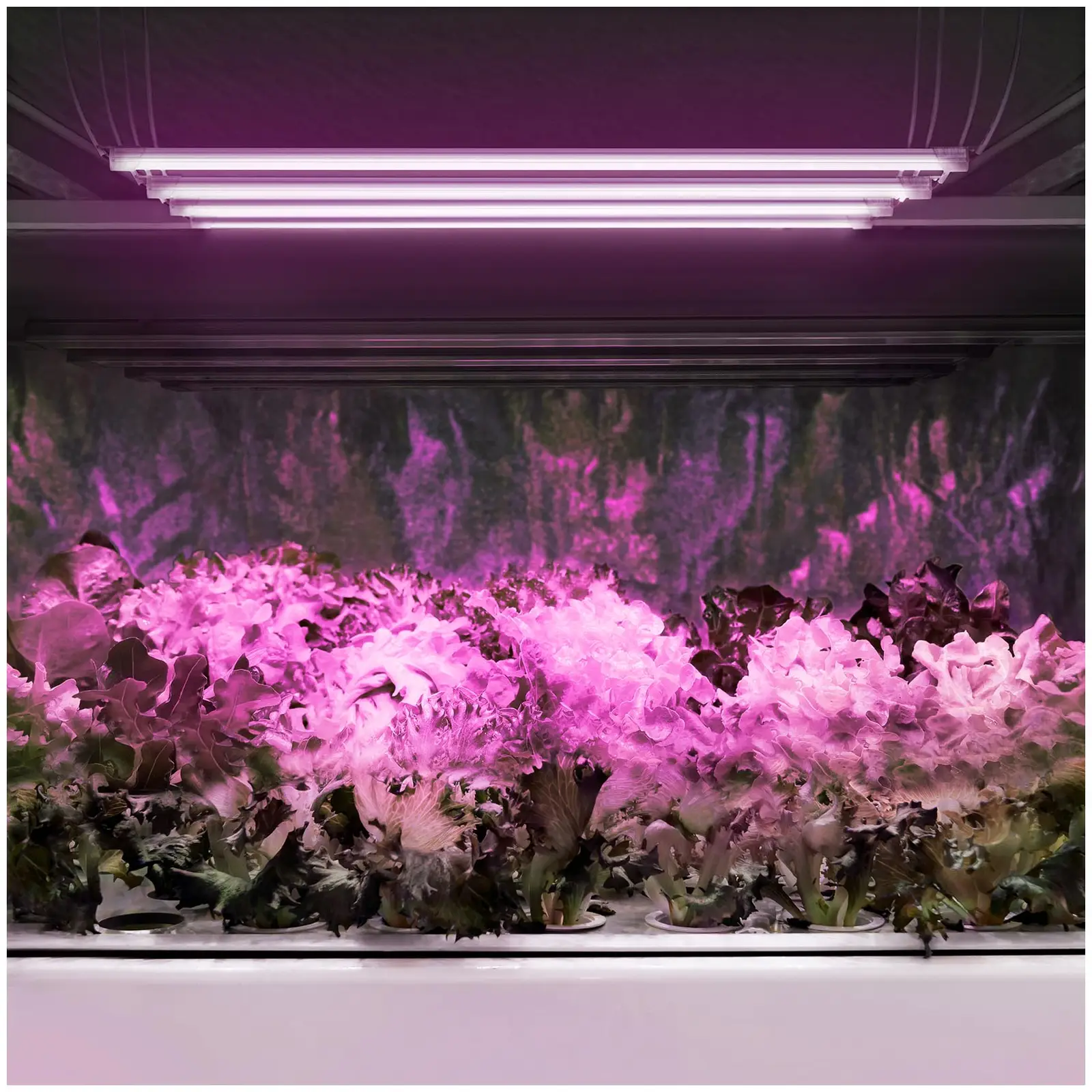 Lámpara LED para plantas - rojo/azul - 20 W - 120 LED - 4 unidades