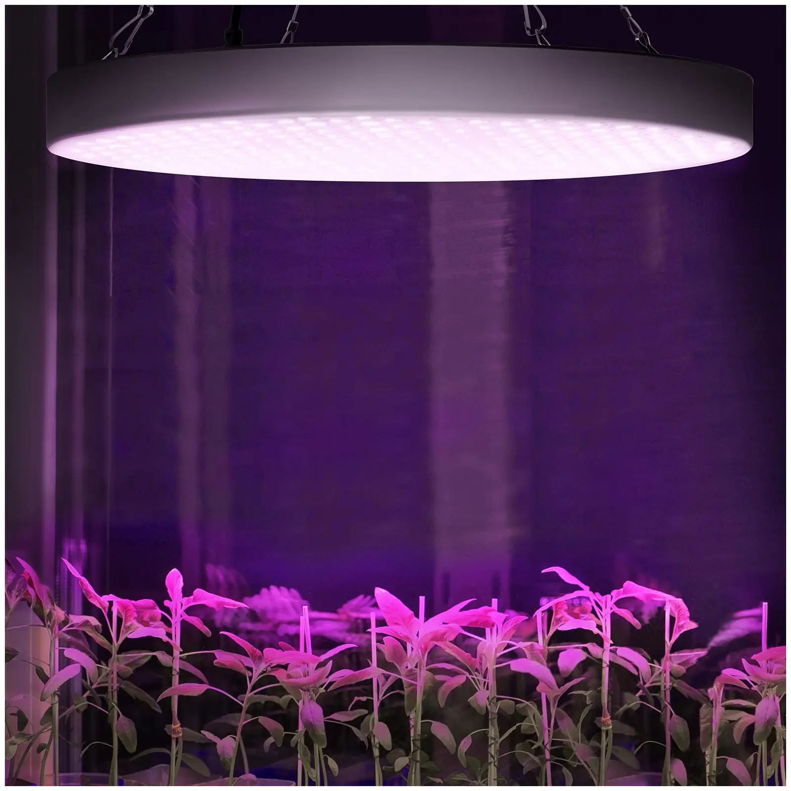 Plantelampe - 50 W - 2.400 lumen