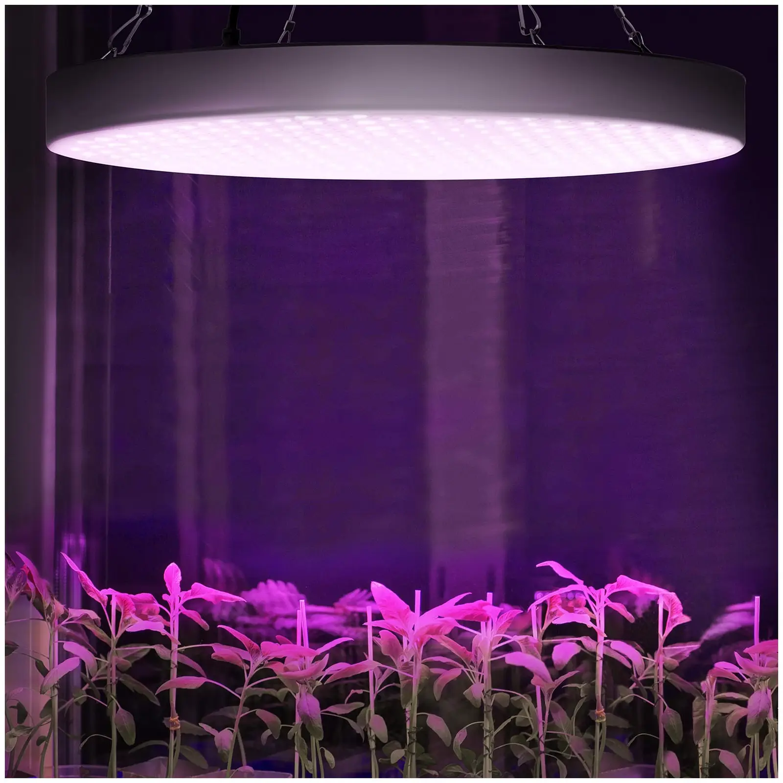 Lámpara LED para plantas - Espectro completo - 50 W - 250 LED - Φ 330 x 30 - 2.400 lúmenes