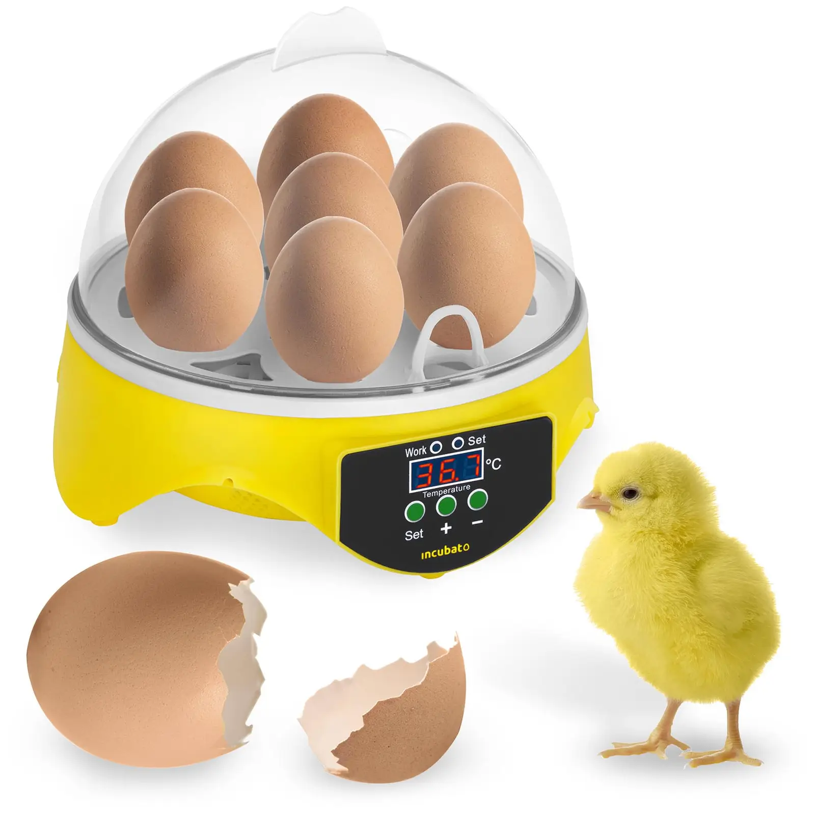 Incubatrice per uova - 7 uova - Lampada sperauova inclusa - 1
