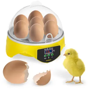 Egg Incubator - 7 Eggs - Including Egg Candler