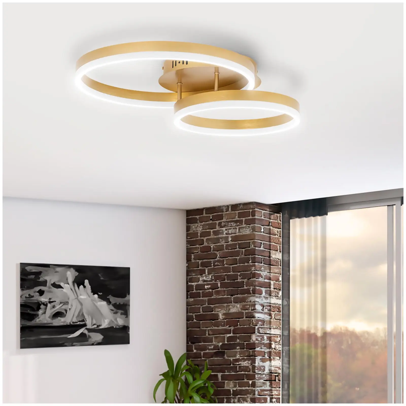 Ceiling Light - 2 circles - remote control - dimmable