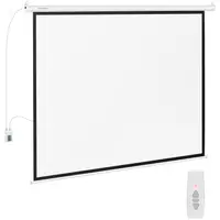 Projection Screen - 211 x 160 cm - 4:3