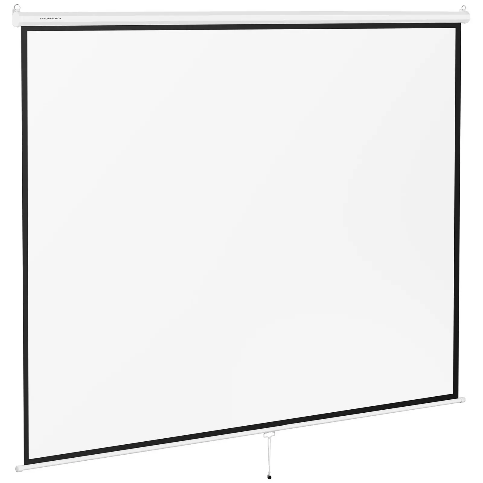 Projection Screen - 312.8 x 239 cm - 4:3