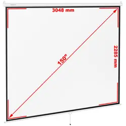 Projection Screen - 312.8 x 239 cm - 4:3