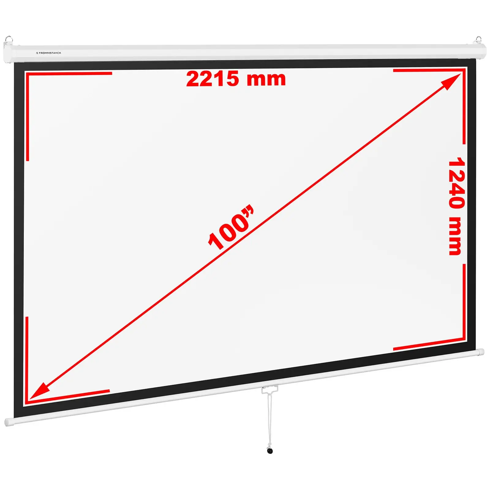 Projection Screen - 229.5 x 145 cm - 16:9