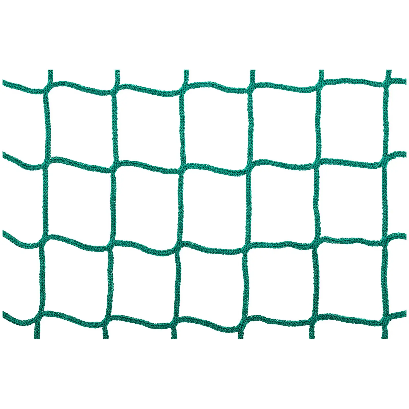 Trailer Net - 2 x 10 m - 10 x 10 cm mesh