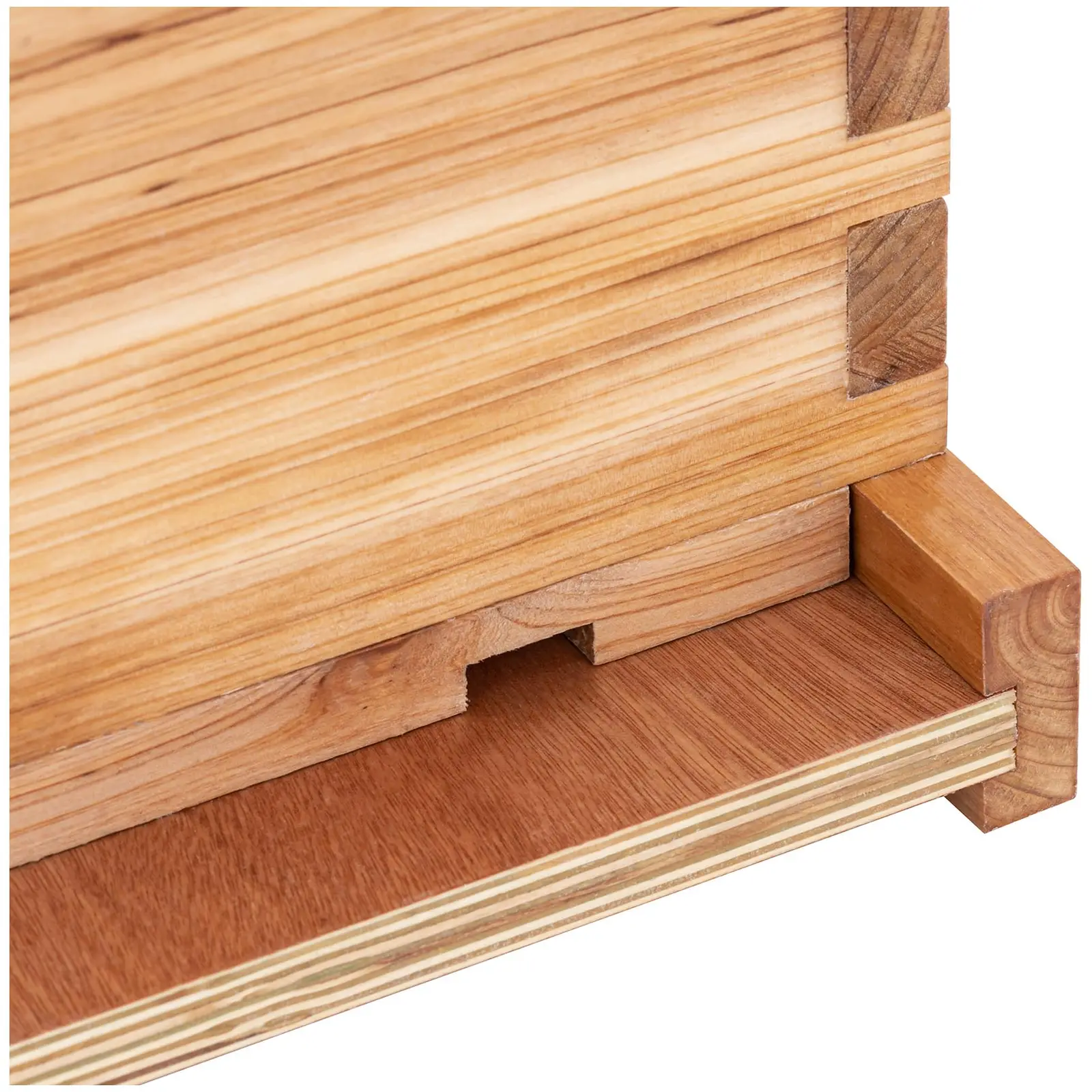 Langenstroth beehive–2 frames and base cassette with entrance hole