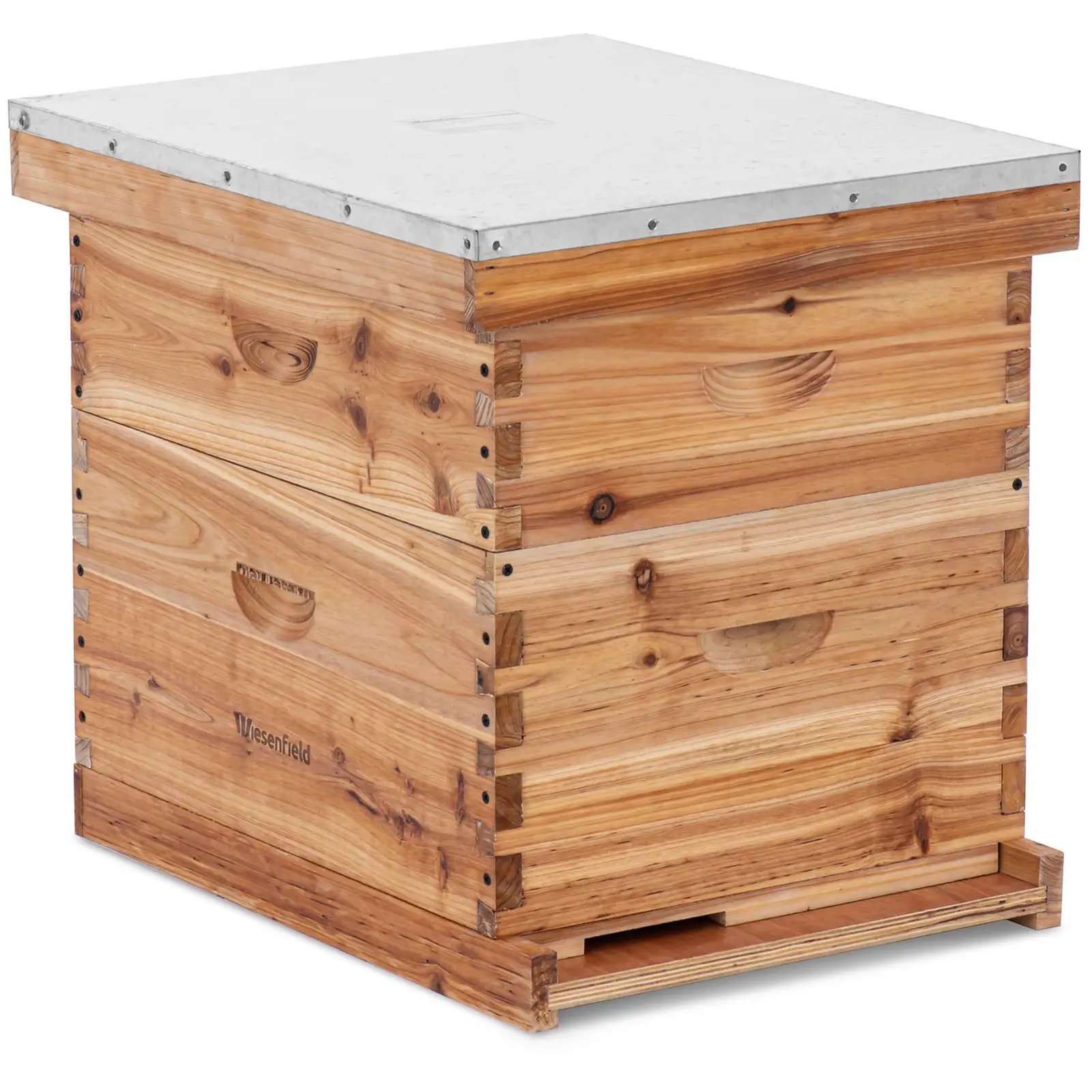 Factory second Langenstroth beehive–2 frames and base cassette with entrance hole