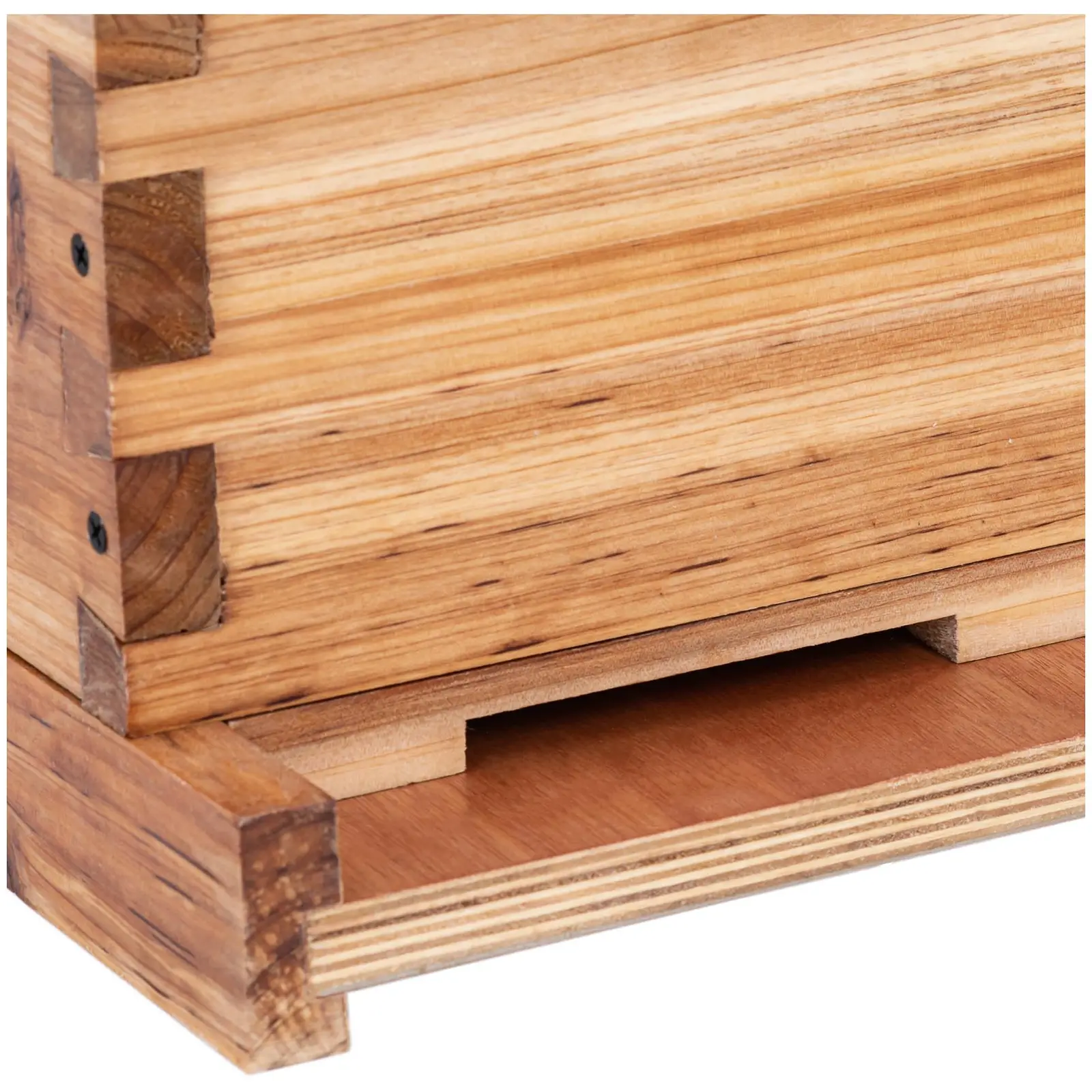 Factory second Langenstroth beehive–2 frames and base cassette with entrance hole