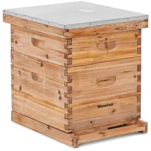 Dadant méhkaptár - 2 keret és padlókazetta bemeneti nyílással 
