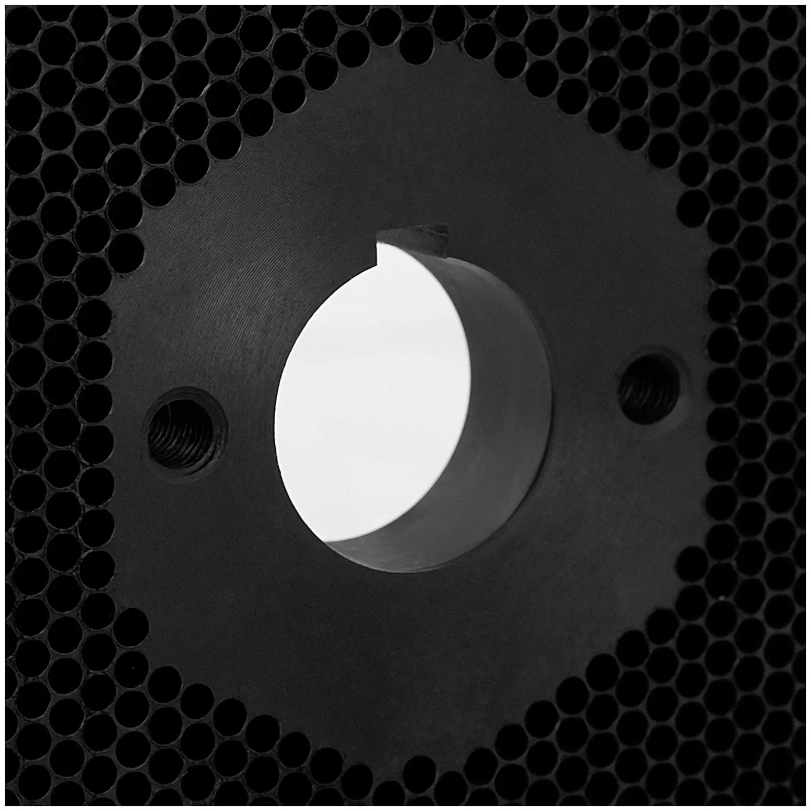 Matrise til pelletsmaskin for WIE-PM-1000 (10280041) – fôrpellets: 27 x Ø200 mm i diameter