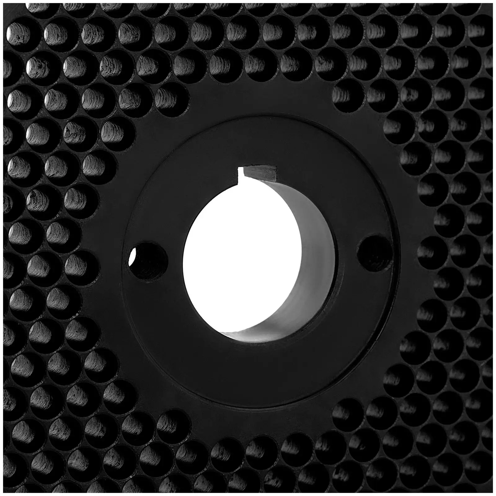 Matriz para la peletizadora WIE-PM-1000 (10280041) - Ø 6 mm (Diámetro de troquel: 200 mm)