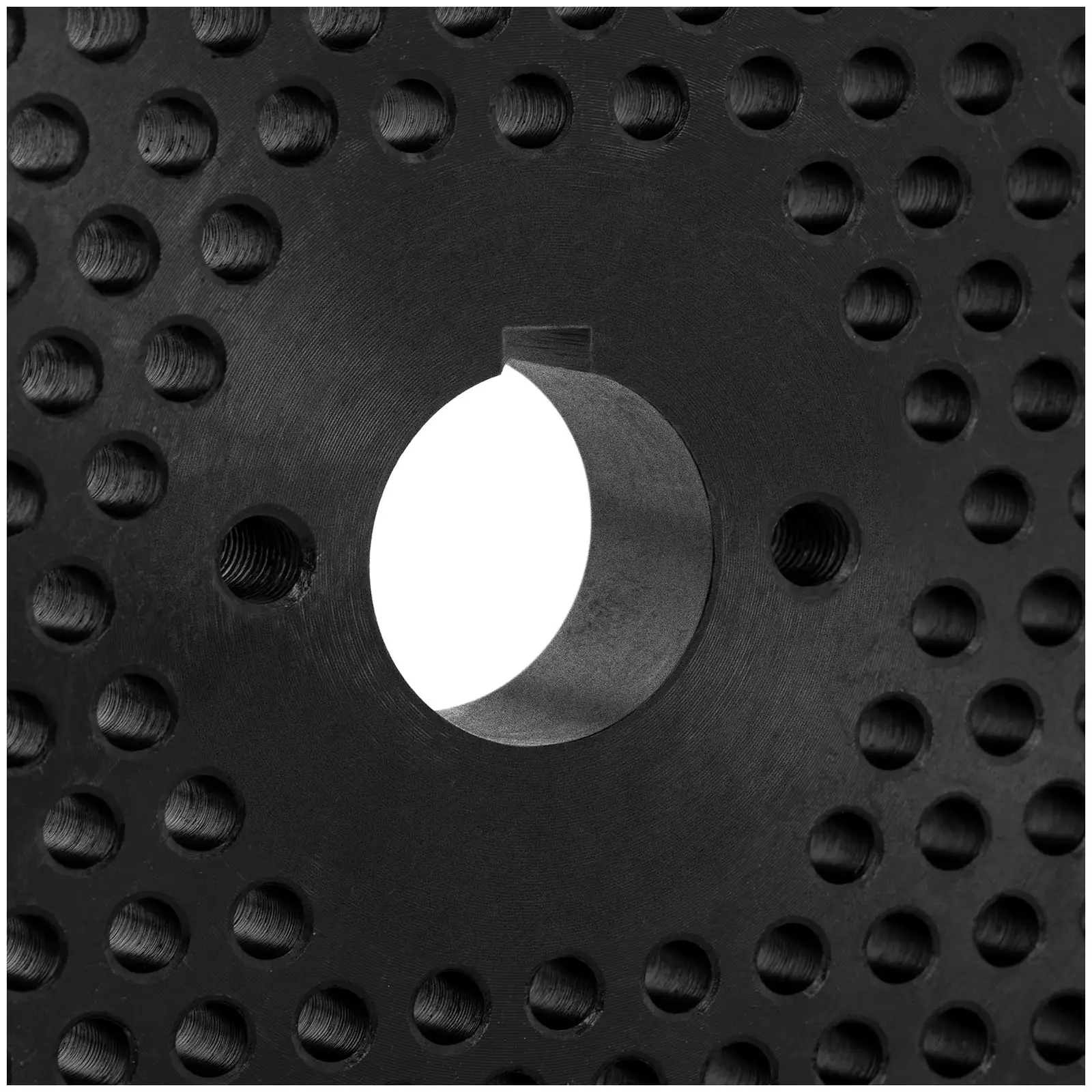 Matriz para la peletizadora WIE-PM-3000 (10280045) - Ø 8 mm (Diámetro de troquel: 230 mm)