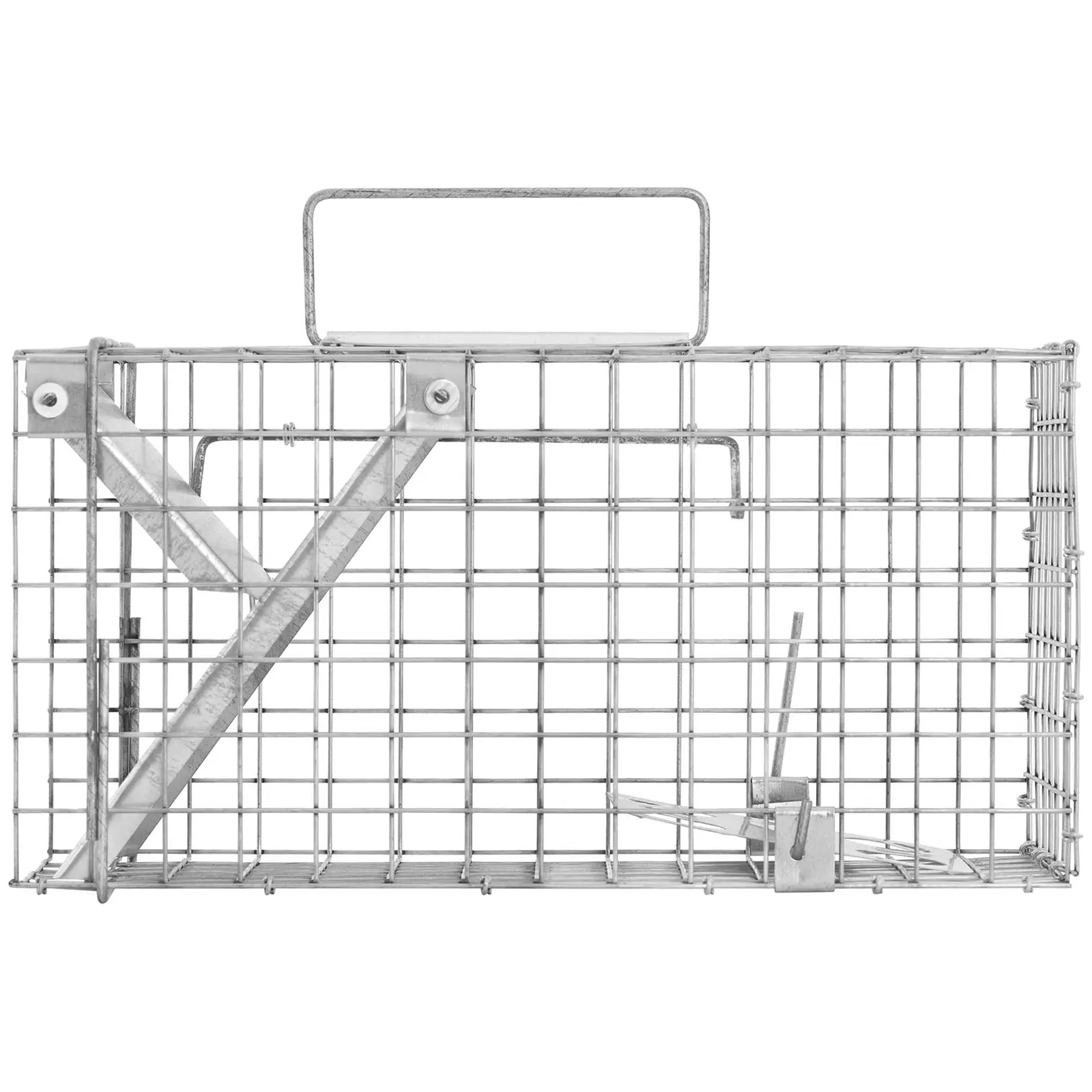 Trappola per animali - 35.5 x 15.5 x 19 cm - Dimensioni delle maglie: 25x25 mm
