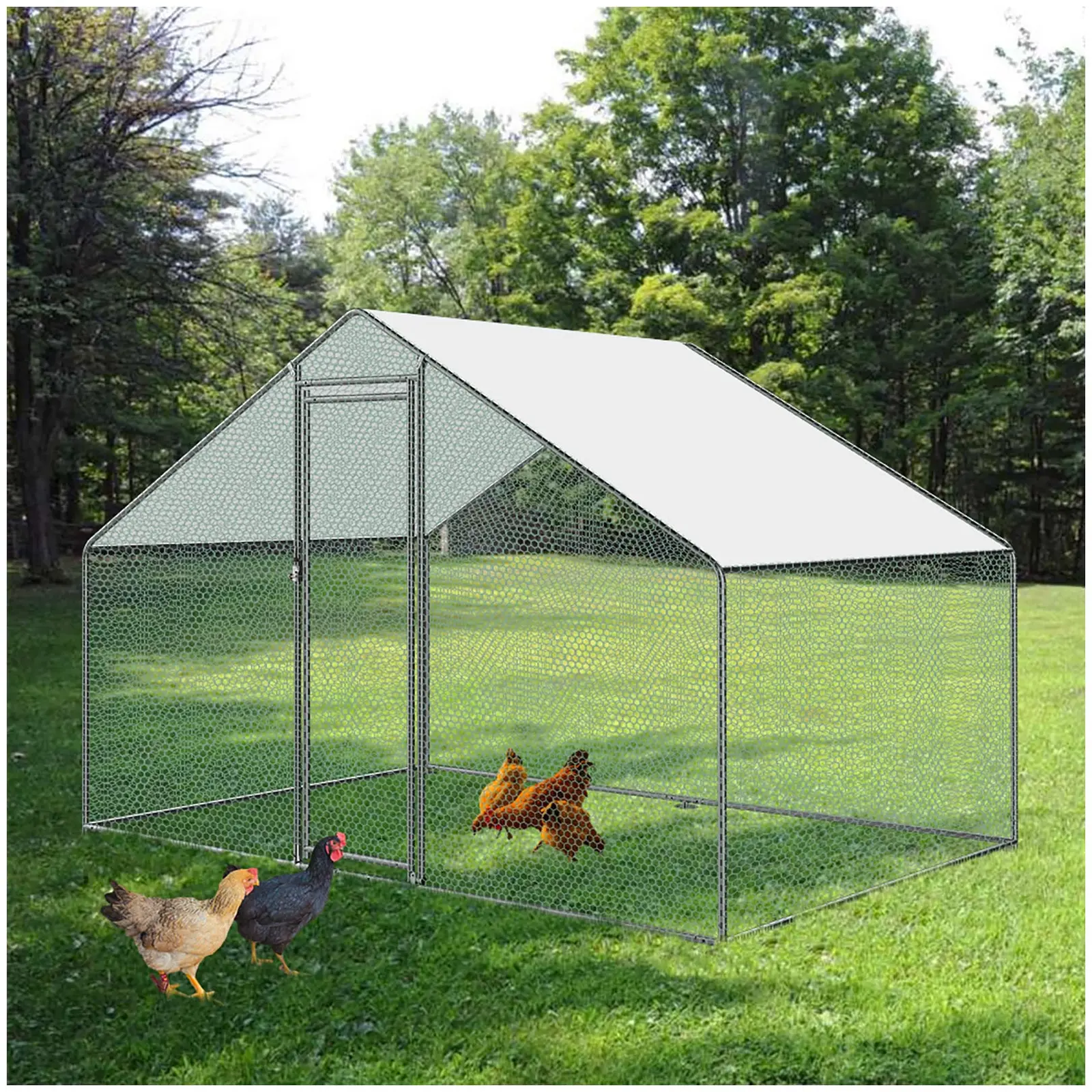 Chicken Coop - 309 x 200 x 205 cm