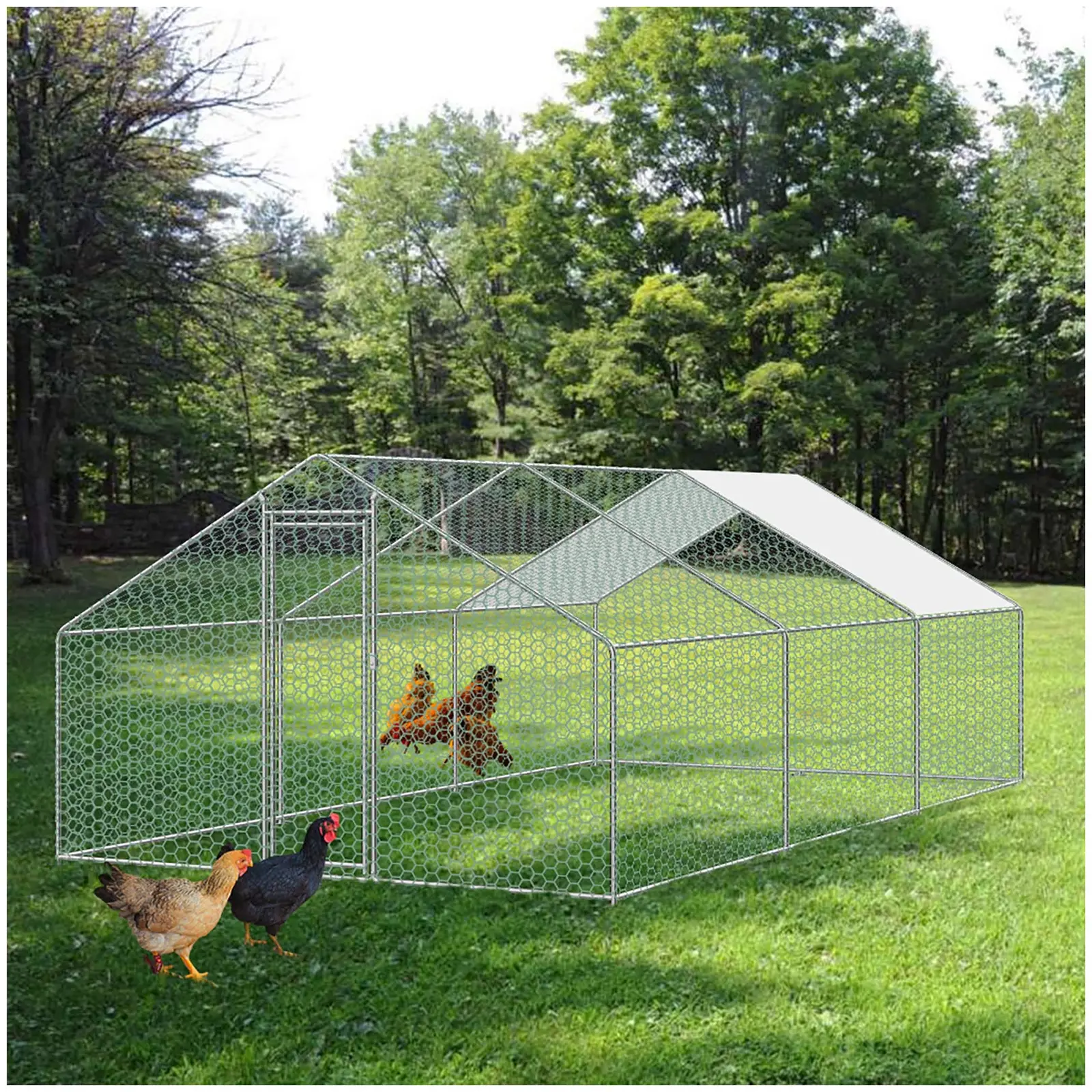 Chicken Coop - 594 x 200 x 308 cm