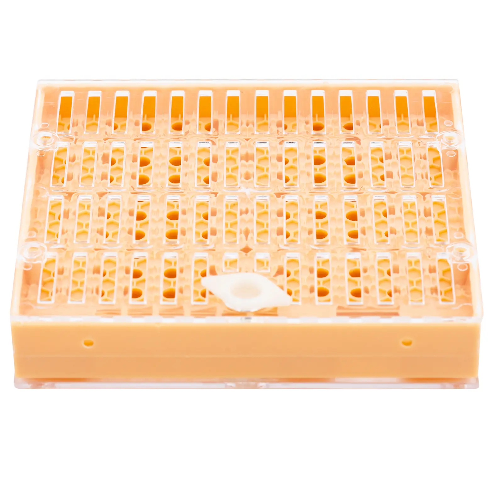 Kit apícola - 322 artigos - isoladores de rainhas - colheres de chá para traduzir larvas de abelhas - taças para rainhas - gaiolas para rainhas (Peso: 1.8 kg)