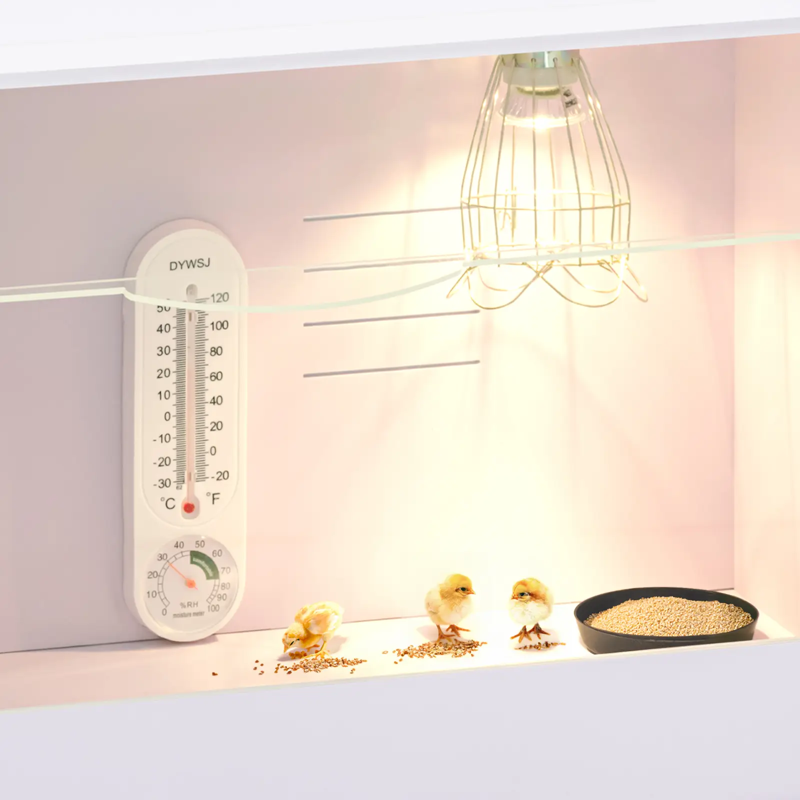 Odchovna kuřat - do 36 °C - 78 x 40 x 42 cm (Výkon UV lampy: 25 W)