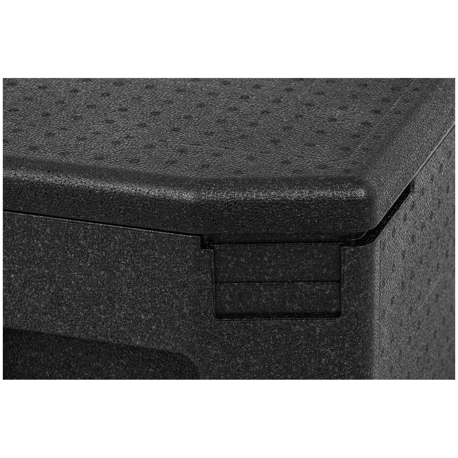 Thermobox - GN 1/1 container (20 cm deep) - XXL handles