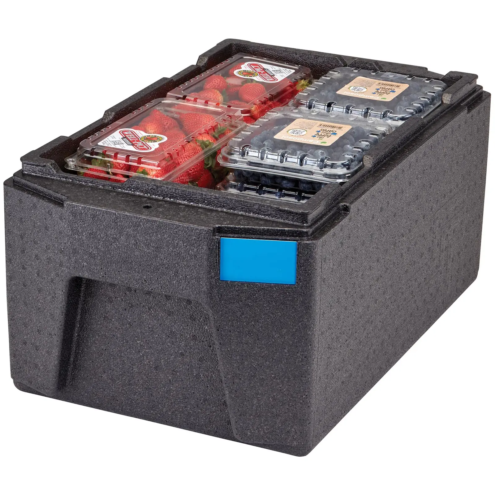 Caja térmica para alimentos - contenedor GN 1/1 (20 cm de profundidad) - asas XXL