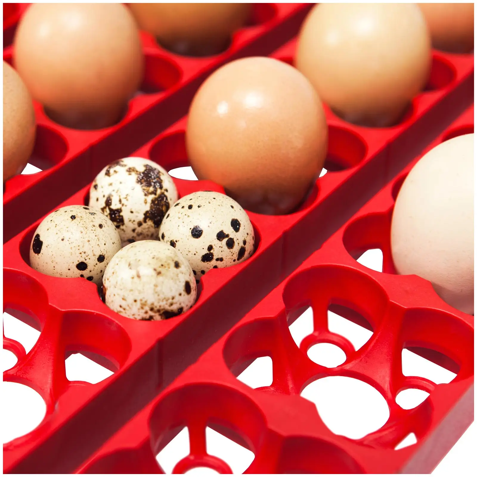 Couveuse à œufs entièrement automatique - 49 œufs - Système d'humidification compris - 3