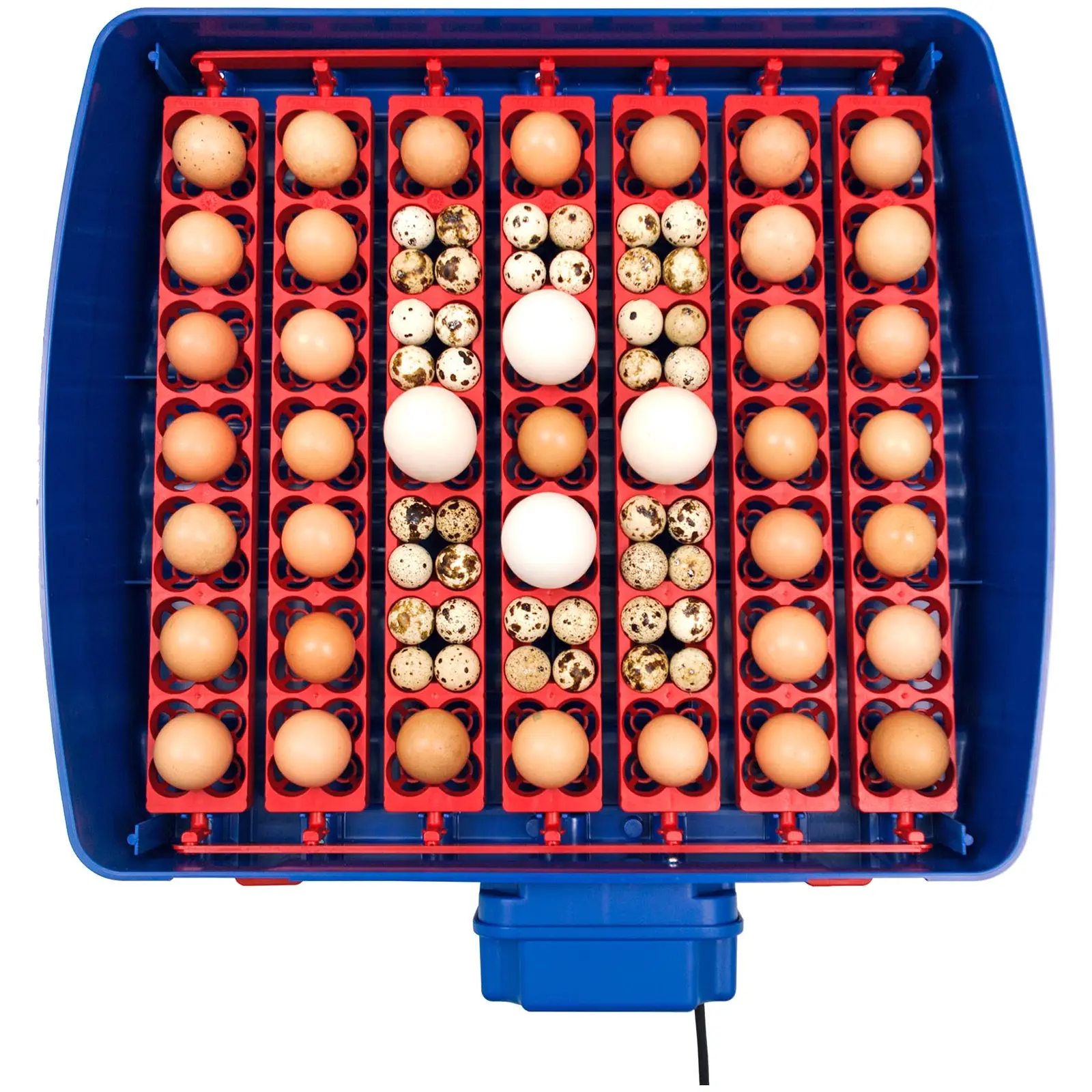 Couveuse à œufs entièrement automatique - 49 œufs - Système d'humidification compris (Matériau(x): ABS)
