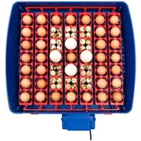 Incubator - 49 eggs - fully automatic - antimicrobial biomaster protection