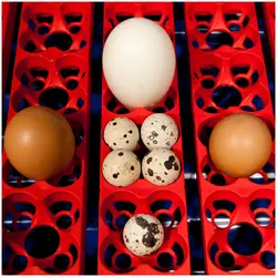 Inkubator - 49 jajc - vključno s sistemom za zalivanje - popolnoma samodejen
