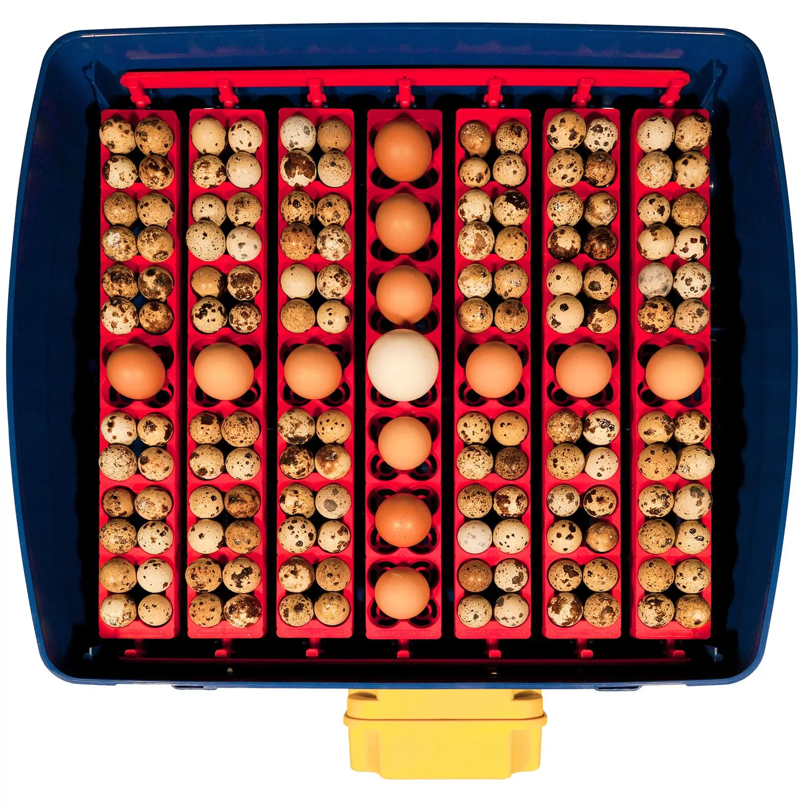 Couveuse à œufs entièrement automatique - 49 œufs - Système d'humidification compris (Matériau(x): ABS)
